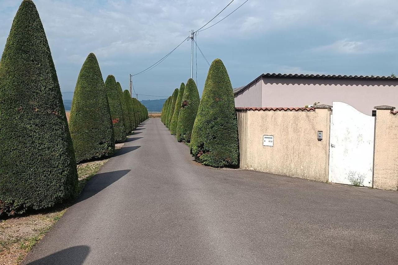 Charmante Maison Avec Piscine Anneyron Exterior foto